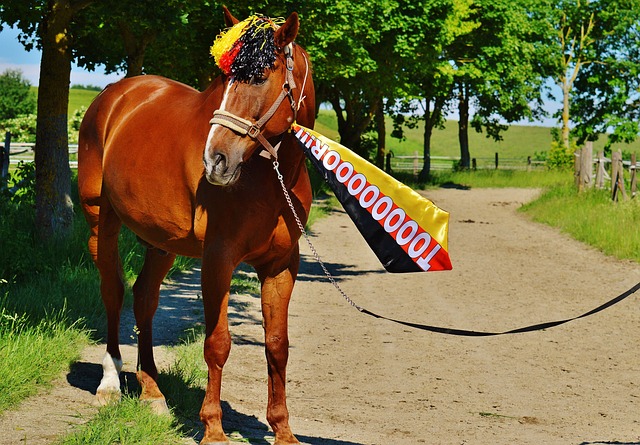 这支正在不 这支正在不