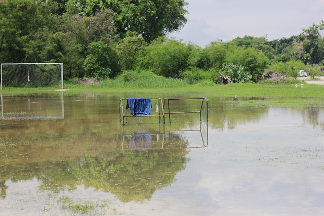 赛中采取的 赛中采取的