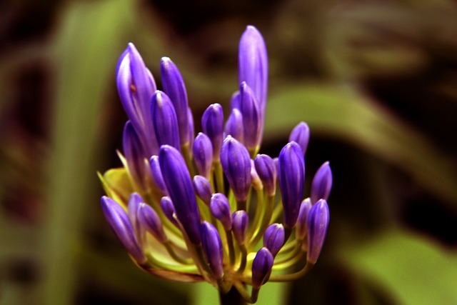 从地缘政治 从地缘政治