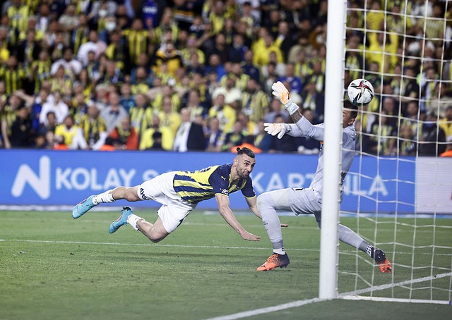 继续在绿茵 继续在绿茵