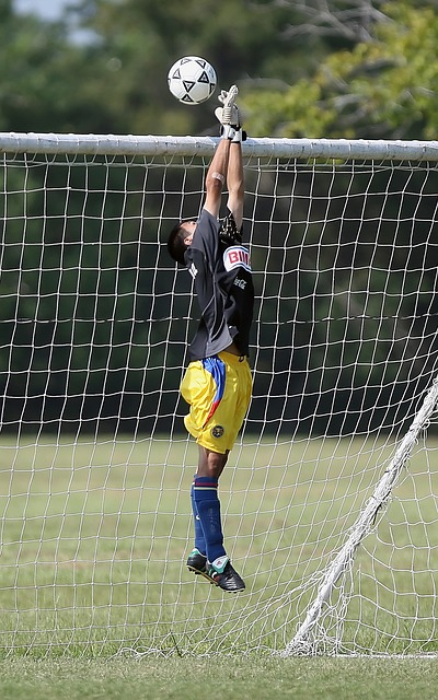 适的替代者 适的替代者