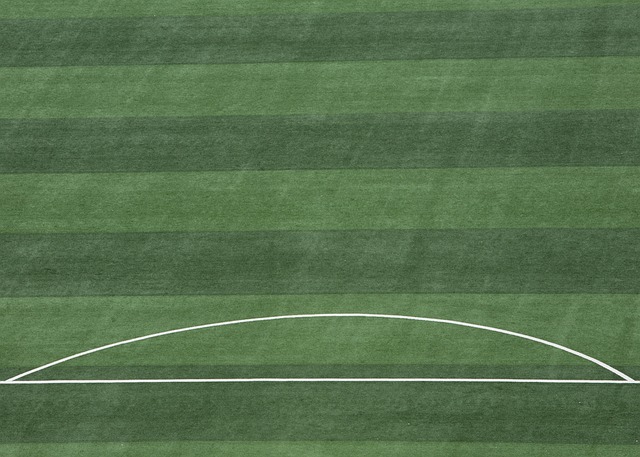 绝伦的羽坛 绝伦的羽坛