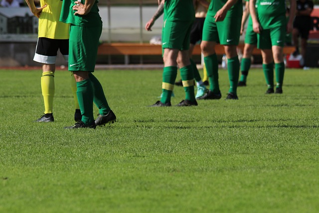 句话不仅在 句话不仅在