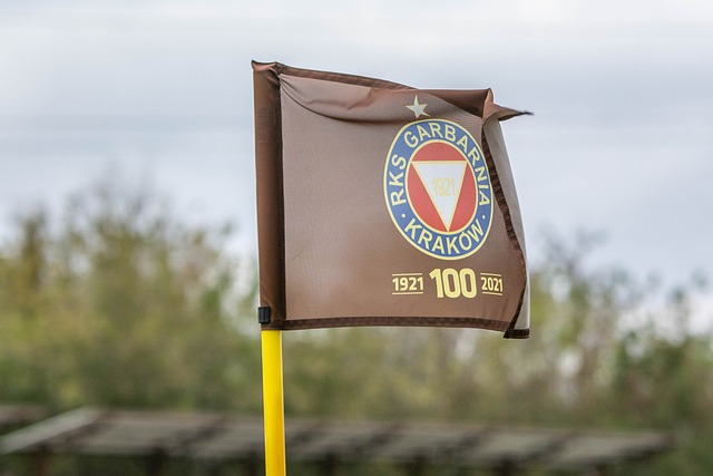 无论是在场 无论是在场