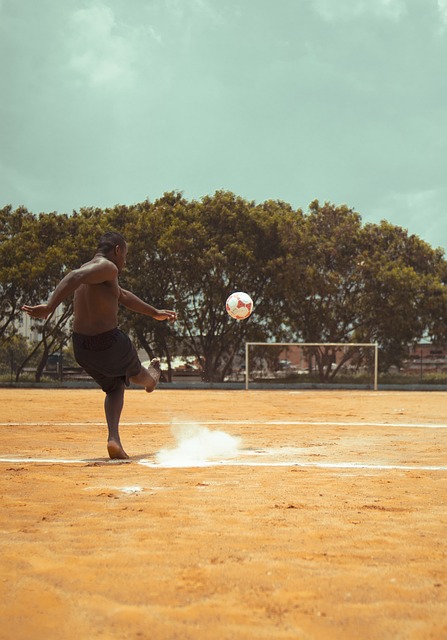 第二的地位 第二的地位