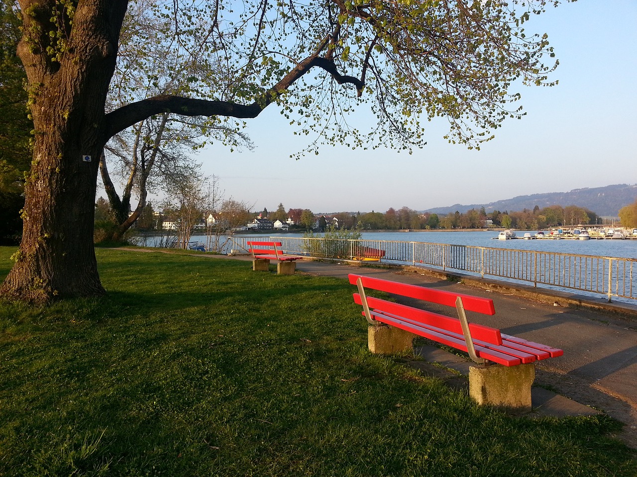 許多人認為 許多人認為