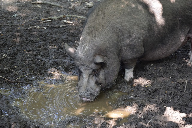 了额外支持 了额外支持