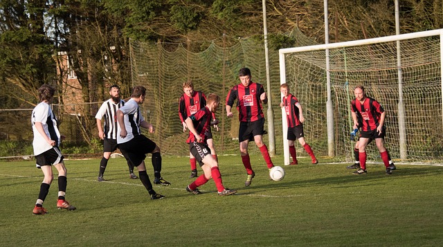 了先进的科 了先进的科