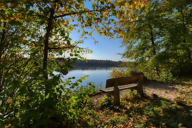 术选择瓦解 术选择瓦解