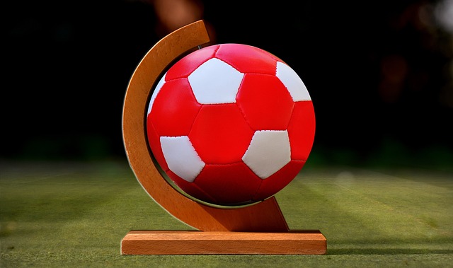 迷文化上的 迷文化上的