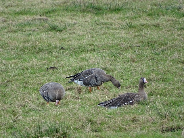 并改变了东 并改变了东